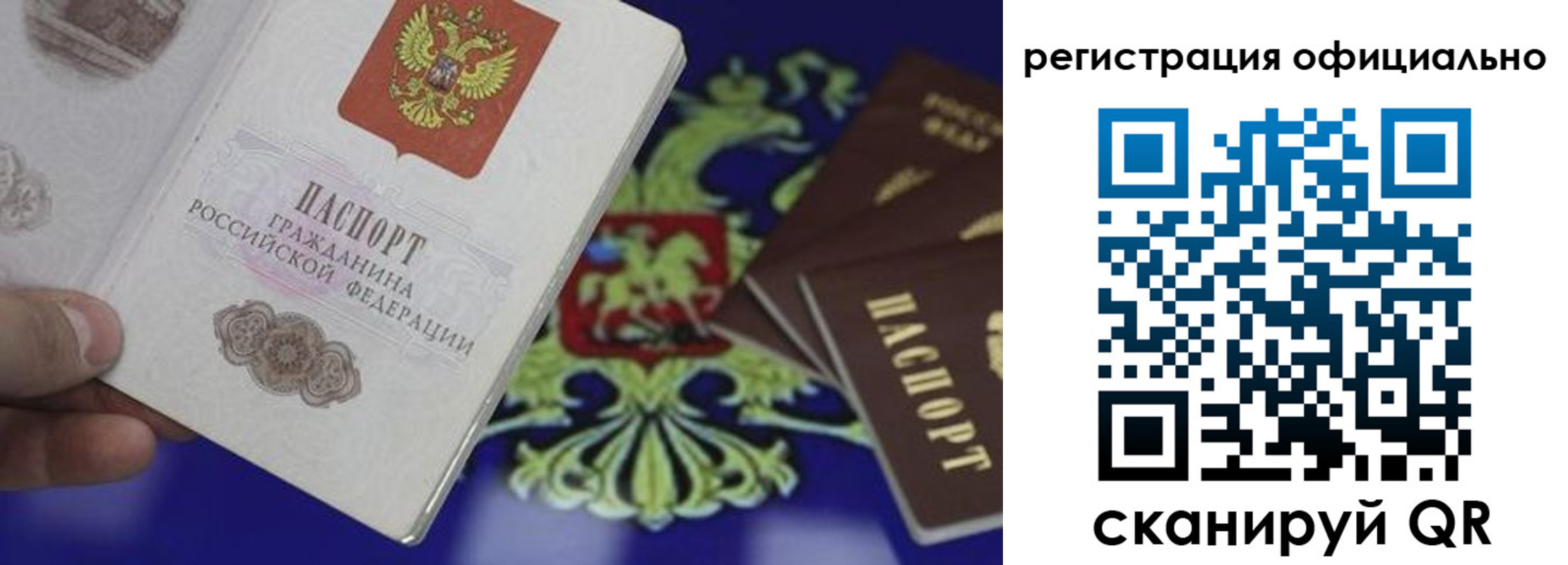 прописка в Бердске